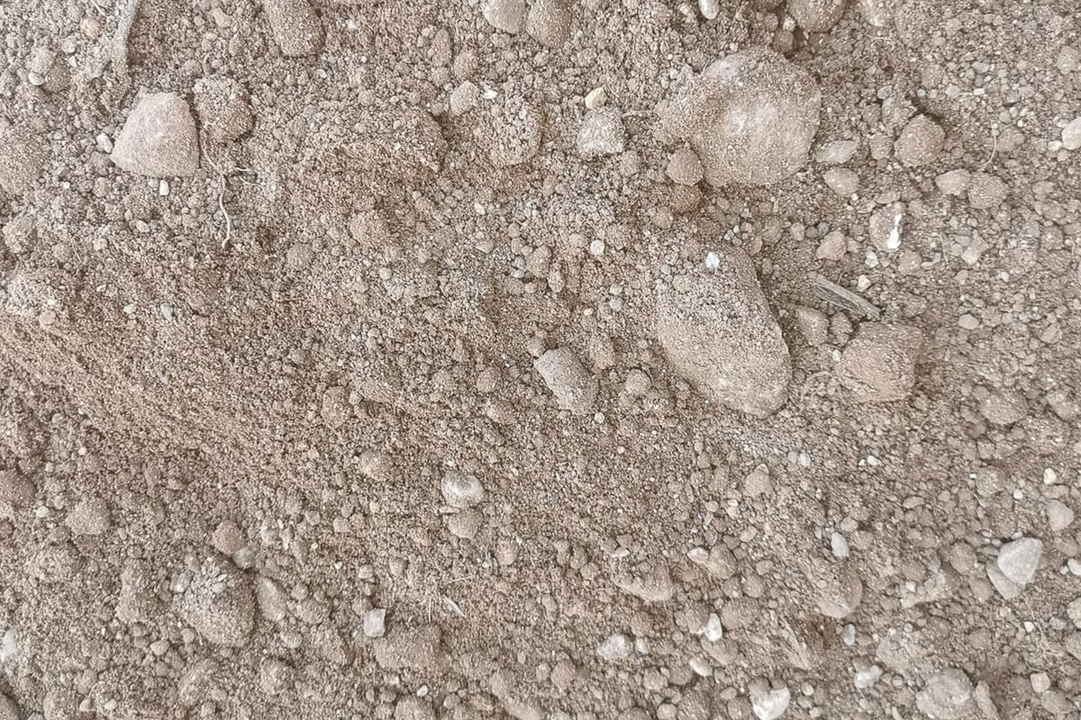 Terra di Scotico